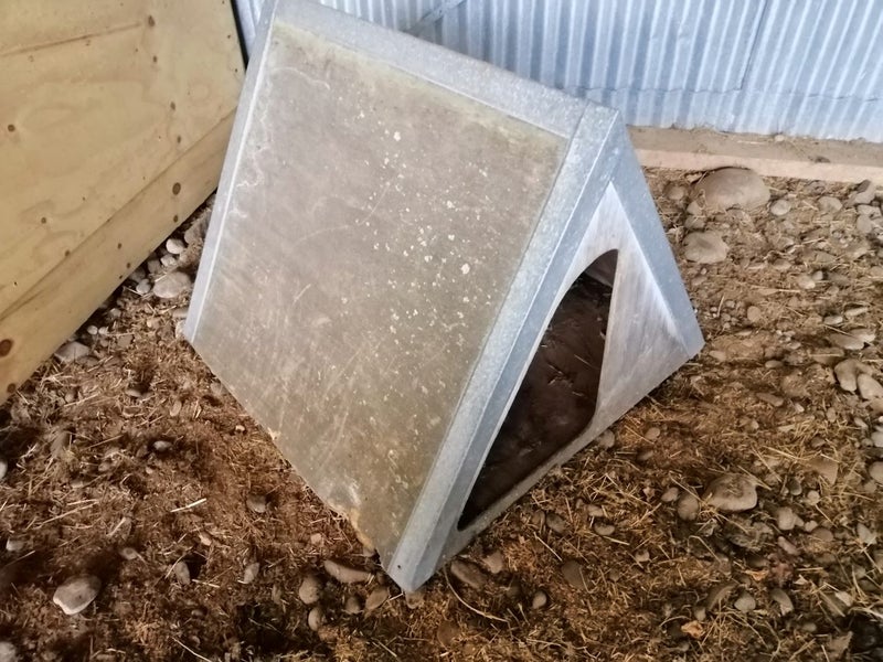 Dog Kennel /Guinea pig/rabbit house Carousel 1