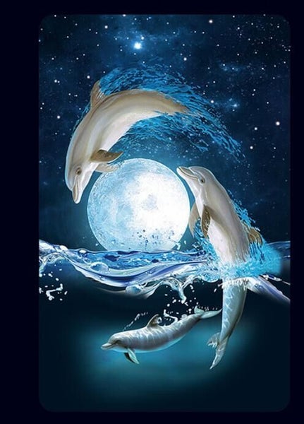Notebook, 3D dolphin design Carousel 1