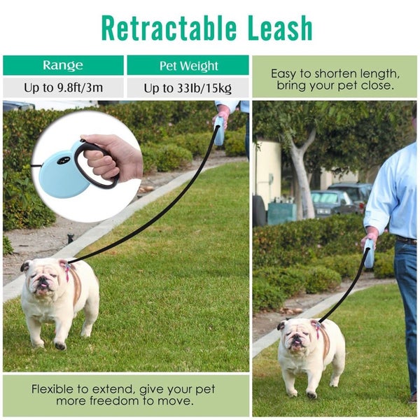 Clearance!!! Professional Dog Grooming Kit (5pcs) Light Blue Carousel 7