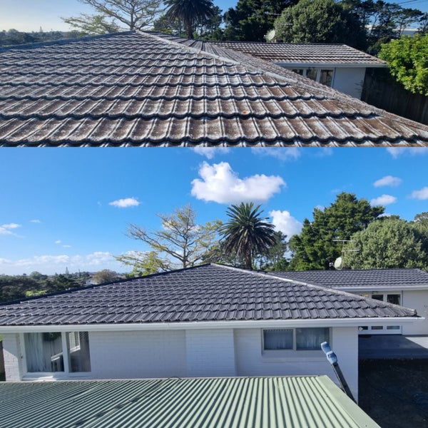 Auck/Need paint your roof ?Roof paint( Northshore) Carousel 2