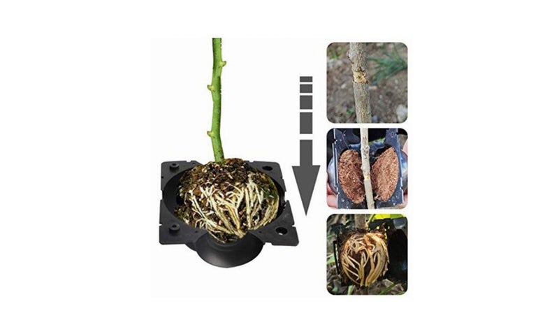 PTN 5cm Plant Root Growing Box High Pressure Cloning Grafting Propagation Ball Carousel 2