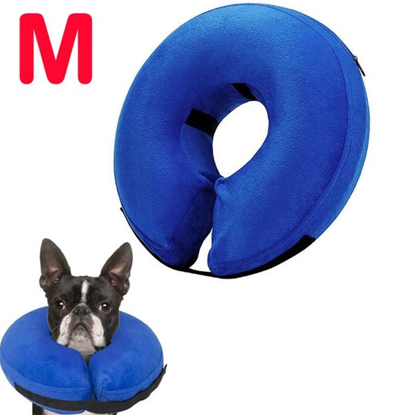 Dog Inflatable Collar I2538DB2 Carousel 1