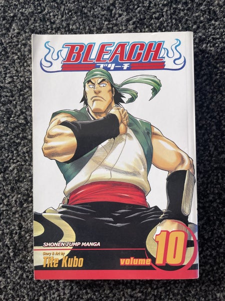 Bleach Volume 10 Carousel 1