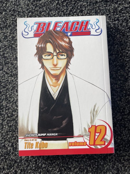 Bleach Volume 12 Carousel 1