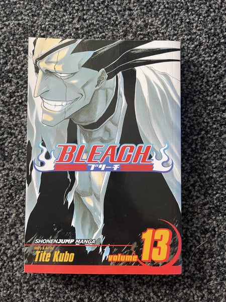 Bleach Volume 13 Carousel 1