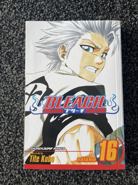 Bleach Volume 16 Carousel 1