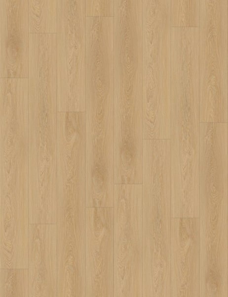 SPC Waterproof Flooring -8mm@39/m2 Carousel 1
