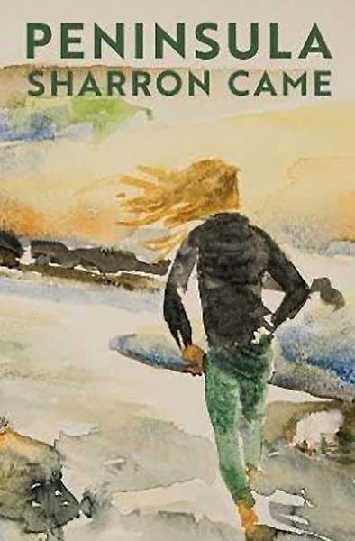 Sharron Came: Peninsula Carousel 1