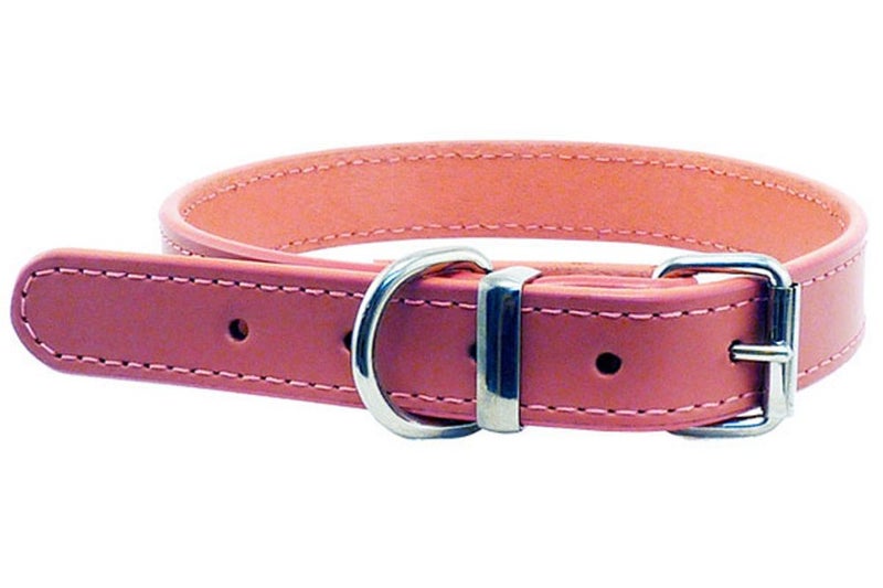 Dog Collar - Leather - 15mm x 40cm - Pink Carousel 1