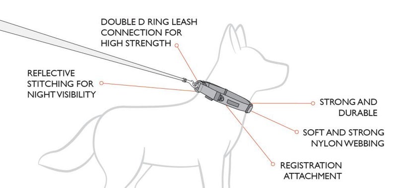Ezy Dog Collar Double Up - Large - Red Carousel 2