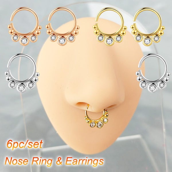 6pc Nose Ring Earring Carousel 2