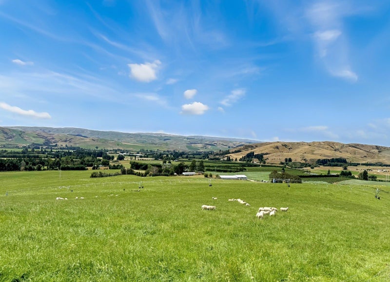 About Property Brokers Dunedin Trade Me Property