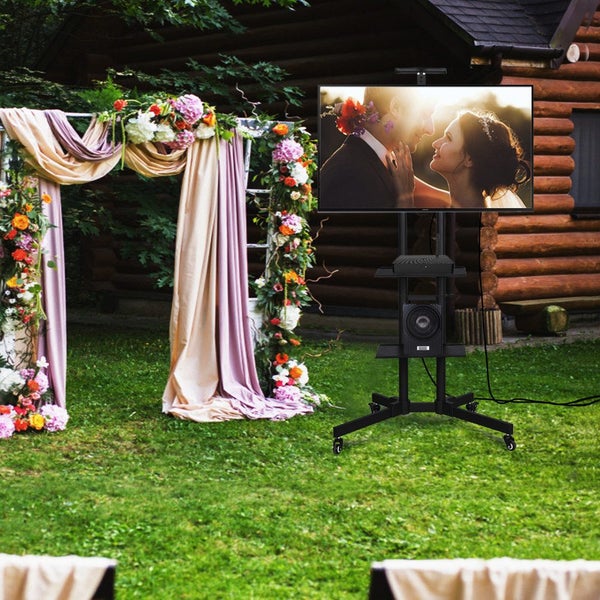 Mobile TV Stand Carousel 1
