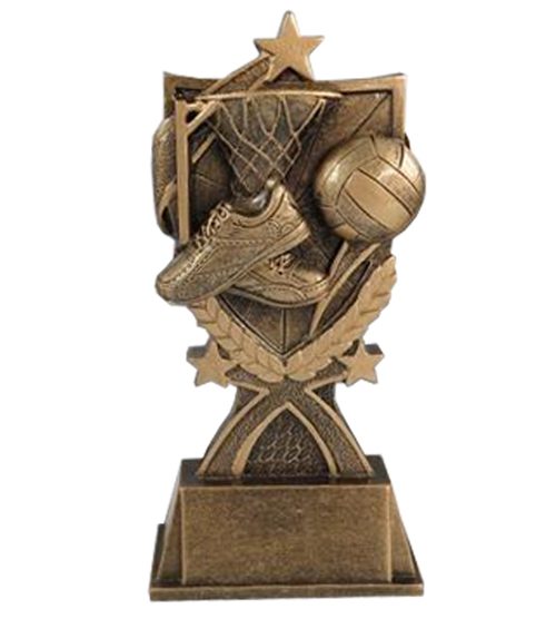 Netball Resin 14cm Trophy Carousel 1