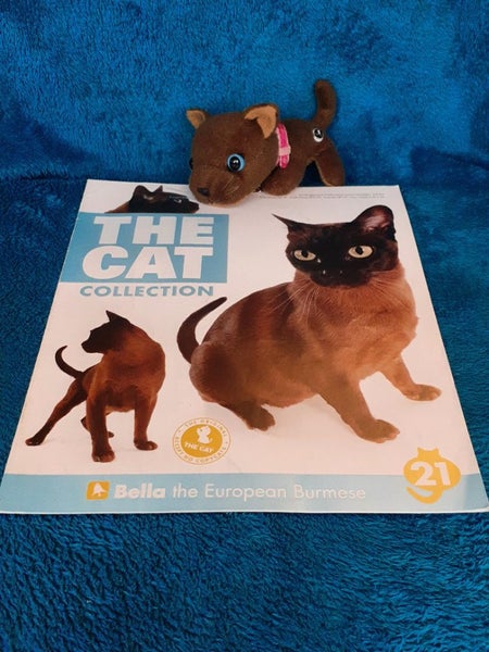 1book & free toy, Cat Collection, Burmese, cat, kitten. Carousel 1