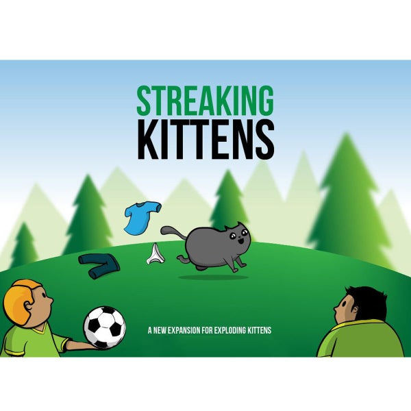 Streaking Kittens Carousel 3