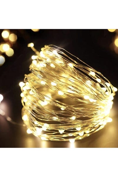 30m Plug-in Silver Wire Seed String Fairy Lights - Warm White Carousel 2