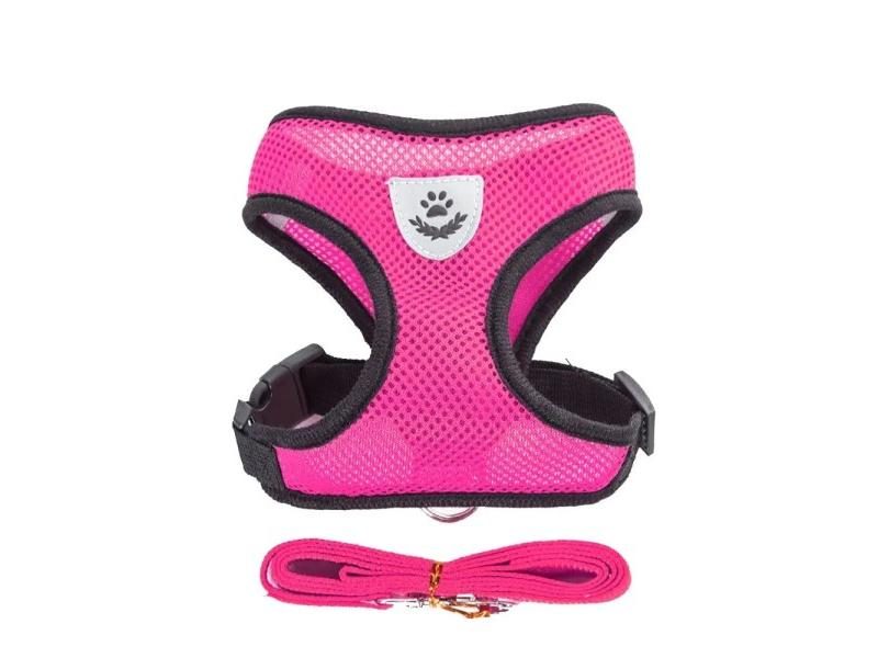 Dog Lead Dog Leads Carousel 1