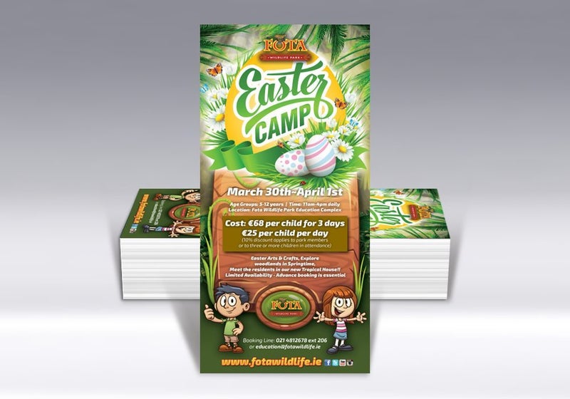 250 X DL Flyers Printing- 60% OFF - Cheapest in New Zealand Carousel 2