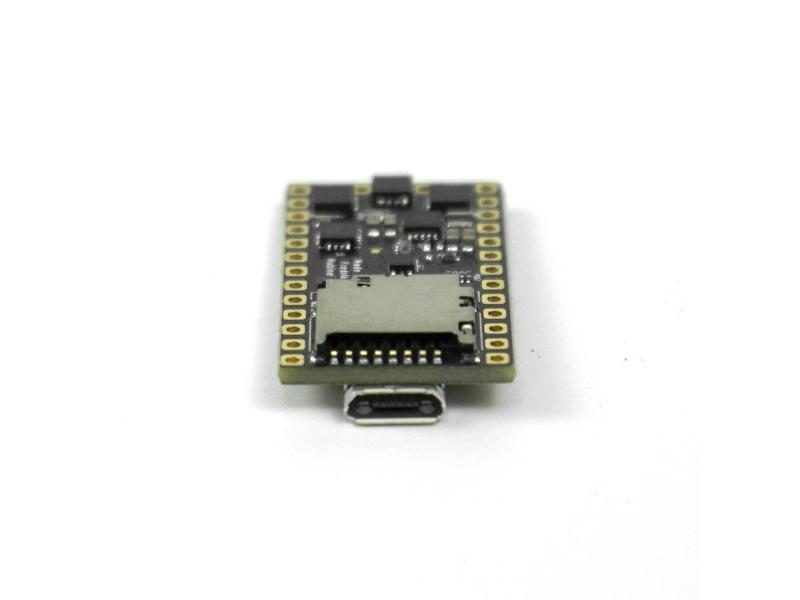 Proffie V2.2 Board Chip Can Programme Add 40 Fonts For Free Can Equip With SD Carousel 1
