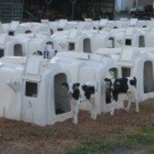 EXL Hutch / Shelter62980456042113111