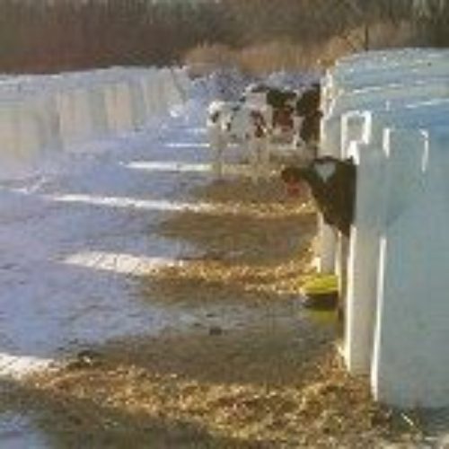 EXL Hutch / Shelter62980456042113113