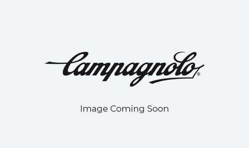 Campagnolo Rear Left Spoke For Bora 60 Db 247 Mm (4 Pc Black 247mm Carousel 1