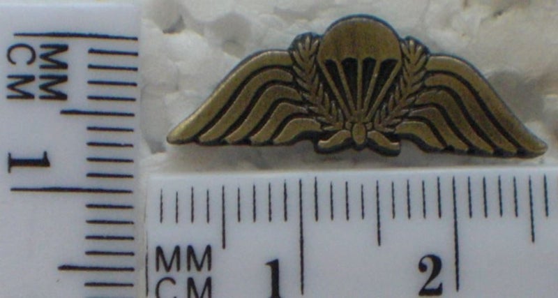 NZ Para wings lapel badge Carousel 1