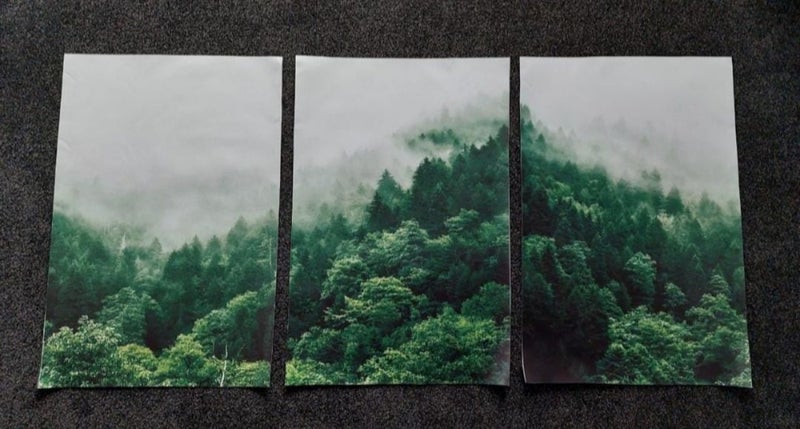 3 x canvas prints 40x60cm Carousel 1