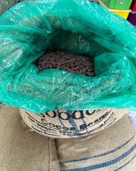 Raw Cacao Beans - Bulk 50kgs / Solomon Island’s Carousel 1