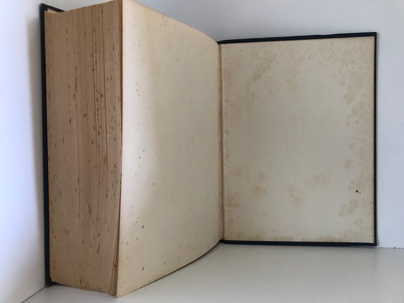 DICTIONARY OF THE BIBLE 1909 Carousel 16