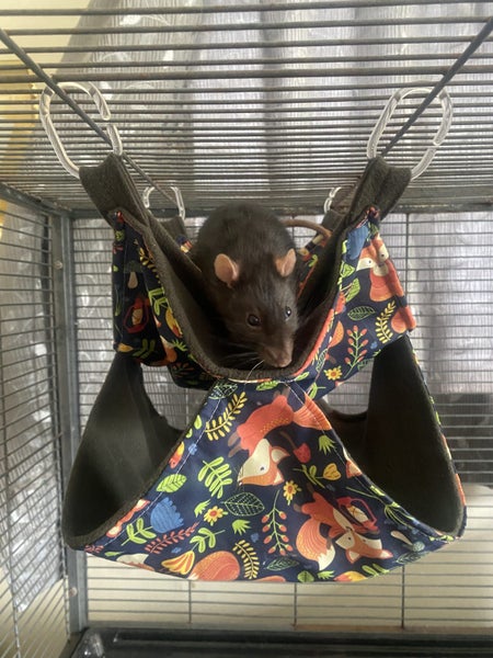 3 Flannelette/Cotton Rat Hammock Set - Choose your pattern! Carousel 2