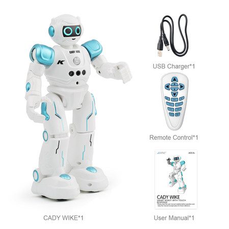 R11 RC Robot with Gesture Sensing Carousel 1