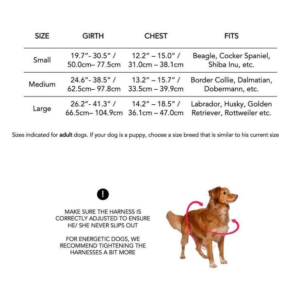 ZEE.DOG Softwalk Harness - LARGE! GOLDEMERALD! Carousel 8