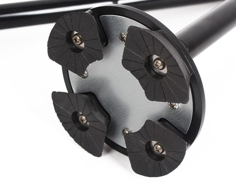 Walking Stick - Walking Stick Carousel 4