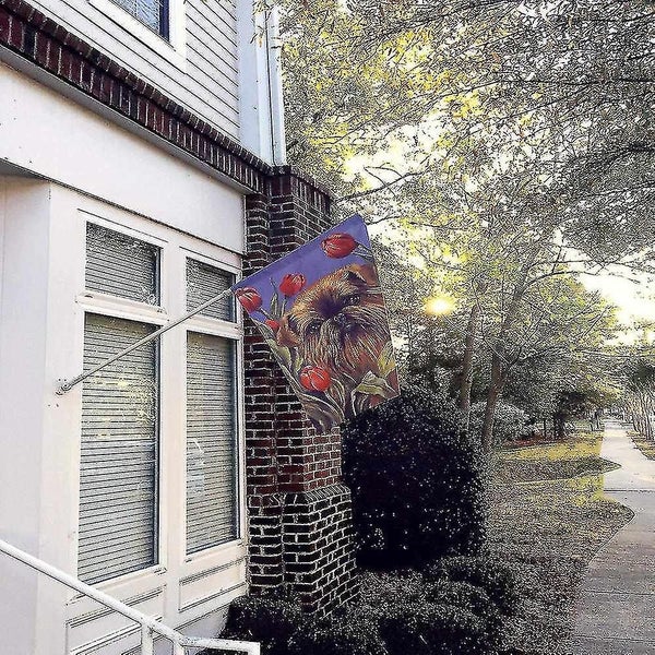 Brussels Griffon Peek a Boo Flag Canvas House Size63617777069314111