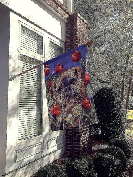 Brussels Griffon Peek a Boo Flag Canvas House Size63617777069314112