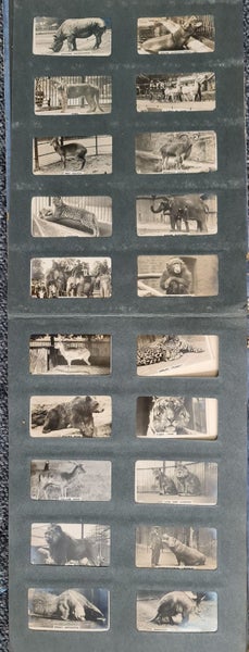 CIGARETTE PICTURE ALBUM Carousel 6
