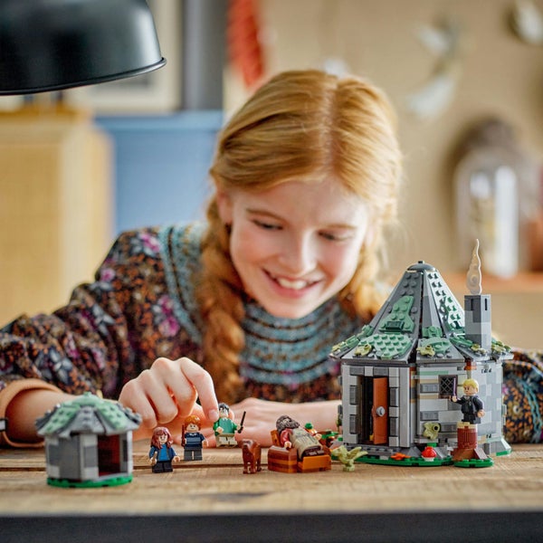 LEGO Harry Potter: Hagrid's Hut: An Unexpected Visit - (76428) Carousel 2