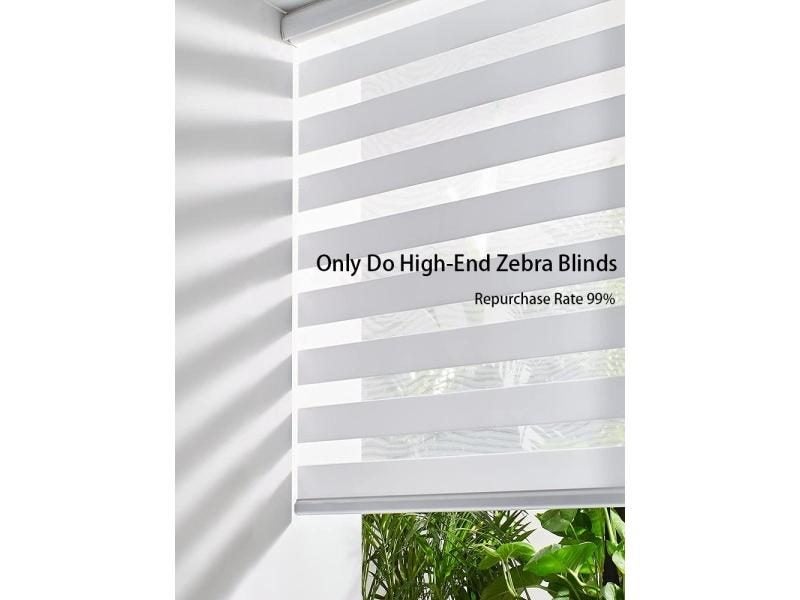 Motorized Window Blinds Square Cassette Zebra Blinds Light Filtering Roller Carousel 1