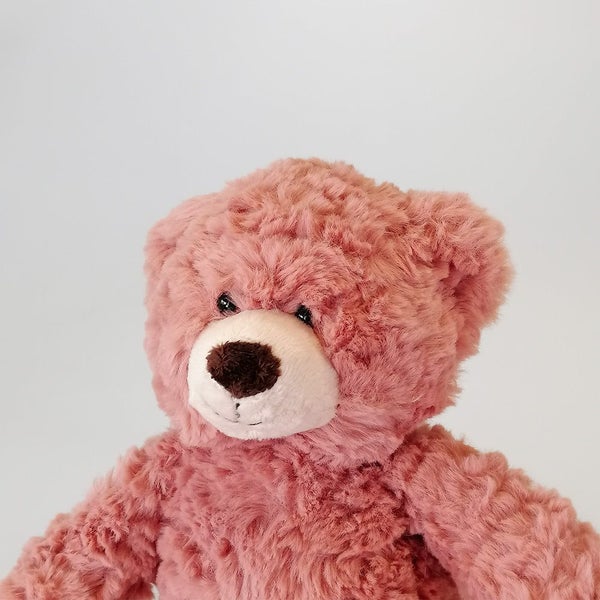Pink Teddy Bear - 30cm Carousel 2
