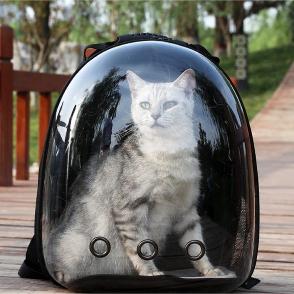 Cat Carrier Dog Carrier Carousel 2