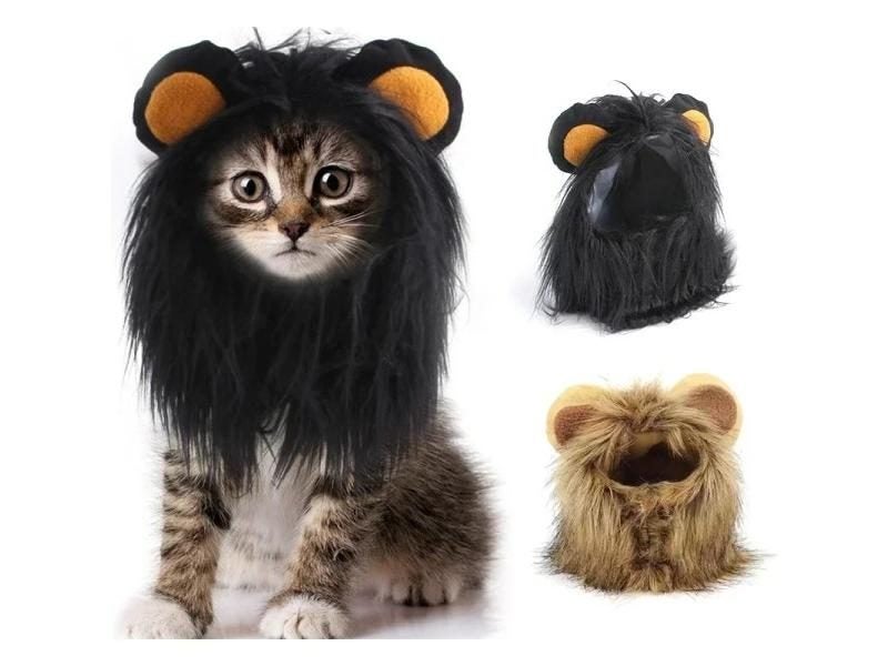 Cat Clothing Carousel 2