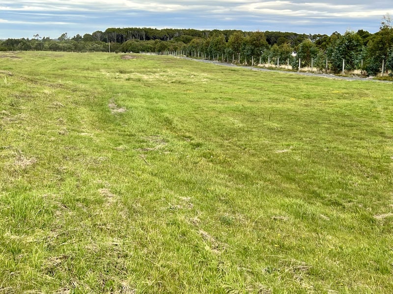 Image 2 of 7
