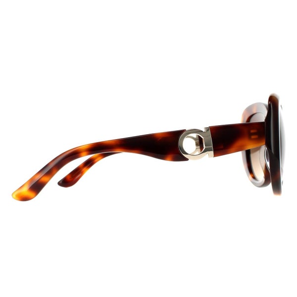 Salvatore Ferragamo Sunglasses SF727S 214 Tortoise Brown Gradient Carousel 4
