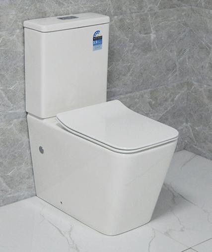 Toilet Suite Rimless Flush BTW A3981 S/P Pan Lennox CHCH Carousel 1