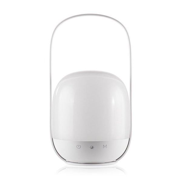 Portable Camping Lamp Mini Remote Control Atmosphere Lamp Bedroom Night Light Carousel 1