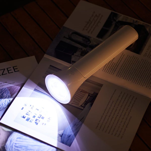 Desk Lamp Foldable Portable Desk Lamp for Home Cordless LED Desk Lamp White Carousel 6
