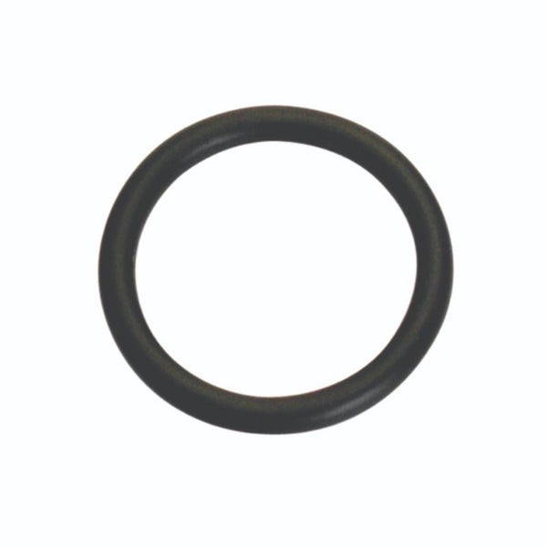 Champion 16mm (I.D.) x 2.5mm Metric O-Ring -10pk Carousel 1