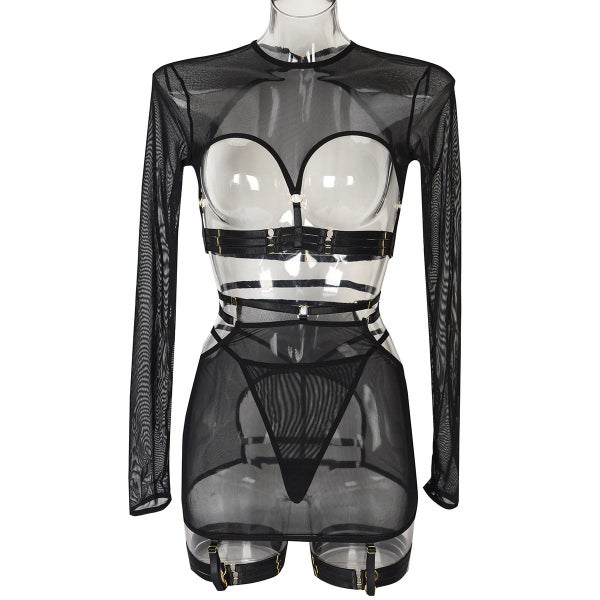 Ins European and American Style Sexy Underwear 5-Piece Set Sexy Carousel 1
